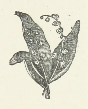An illustration from Seaforth. [A novel, 1879, leaf 119