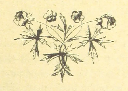 An illustration from Moore's Irish Melodies, Lalla Rookh, National Airs, Legendary Ballads, Songs, etc., with a memoir by J. F. Waller. Illustrations, etc, 1867, leaf 211