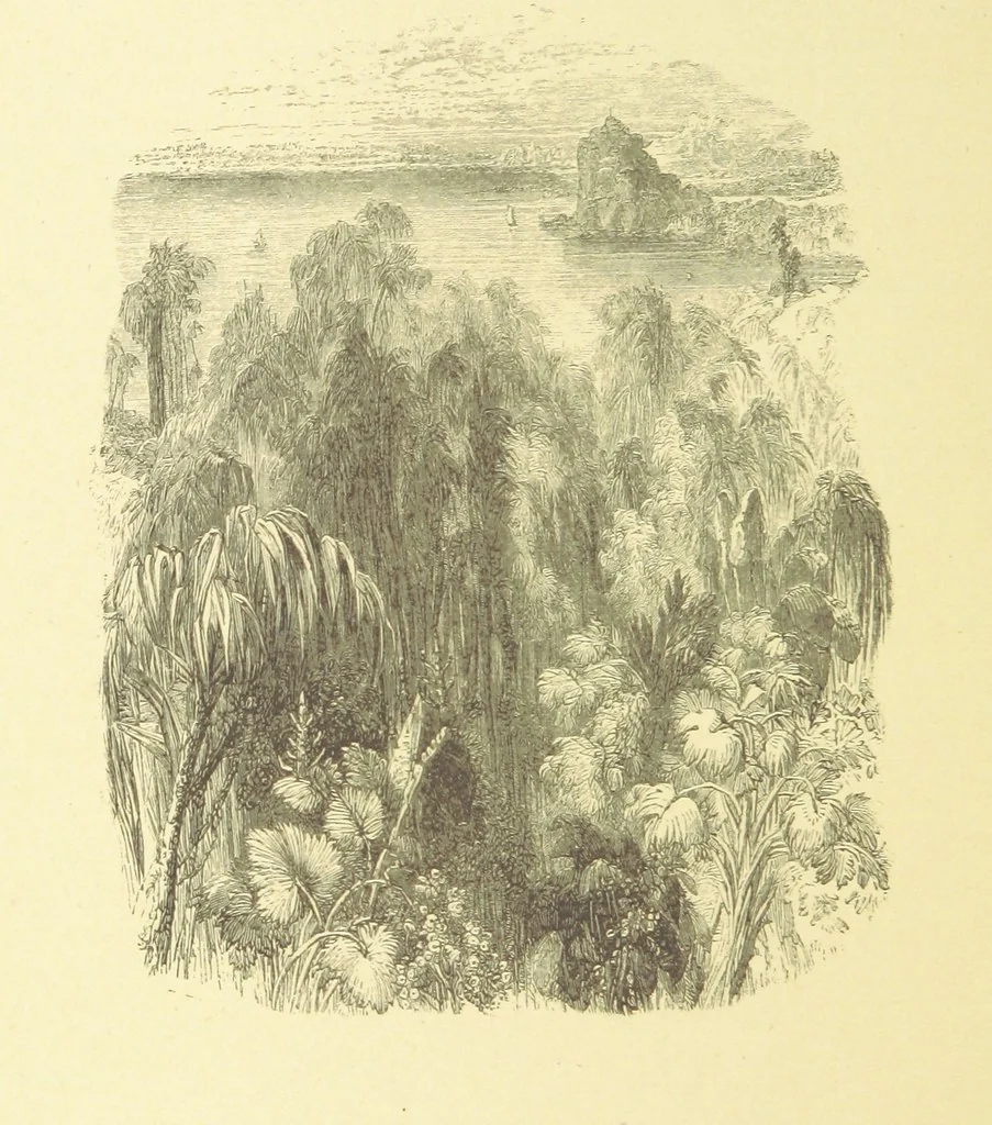 An illustration from Moore's Irish Melodies, Lalla Rookh, National Airs, Legendary Ballads, Songs, etc., with a memoir by J. F. Waller. Illustrations, etc, 1867, leaf 340