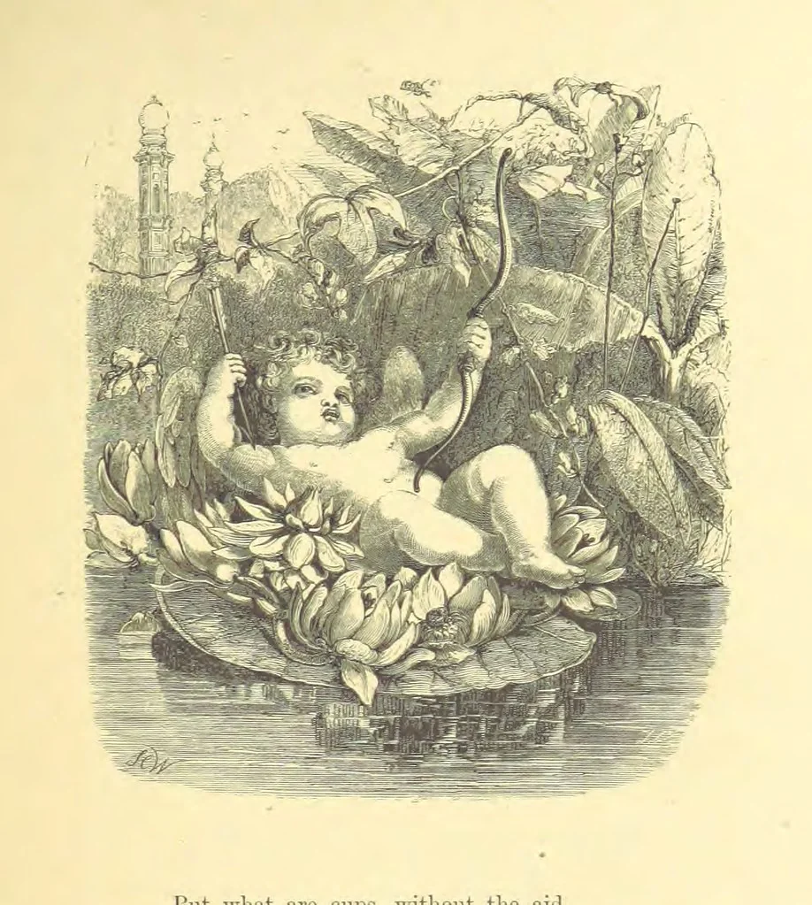 An illustration from Moore's Irish Melodies, Lalla Rookh, National Airs, Legendary Ballads, Songs, etc., with a memoir by J. F. Waller. Illustrations, etc, 1867, leaf 413