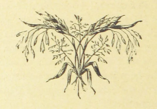 An illustration from Moore's Irish Melodies, Lalla Rookh, National Airs, Legendary Ballads, Songs, etc., with a memoir by J. F. Waller. Illustrations, etc, 1867, leaf 424