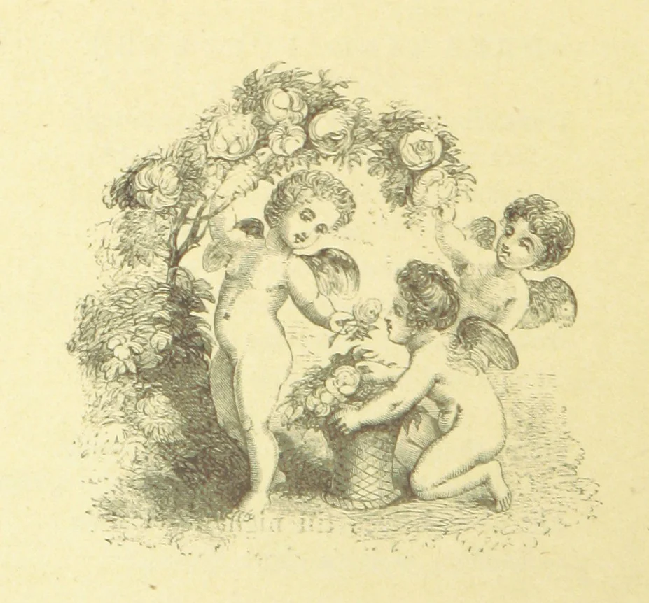 An illustration from Moore's Irish Melodies, Lalla Rookh, National Airs, Legendary Ballads, Songs, etc., with a memoir by J. F. Waller. Illustrations, etc, 1867, leaf 462