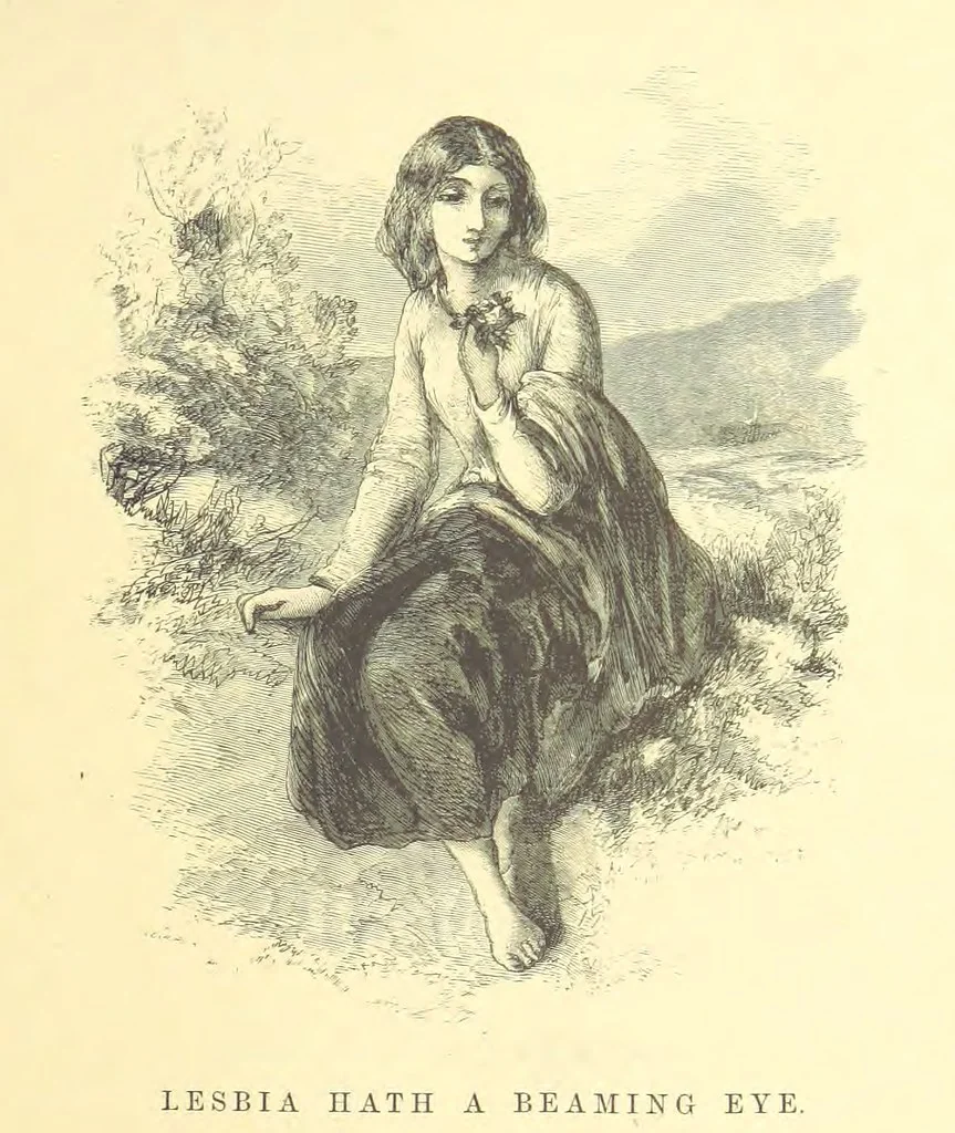 An illustration from Moore's Irish Melodies, Lalla Rookh, National Airs, Legendary Ballads, Songs, etc., with a memoir by J. F. Waller. Illustrations, etc, 1867, leaf 47