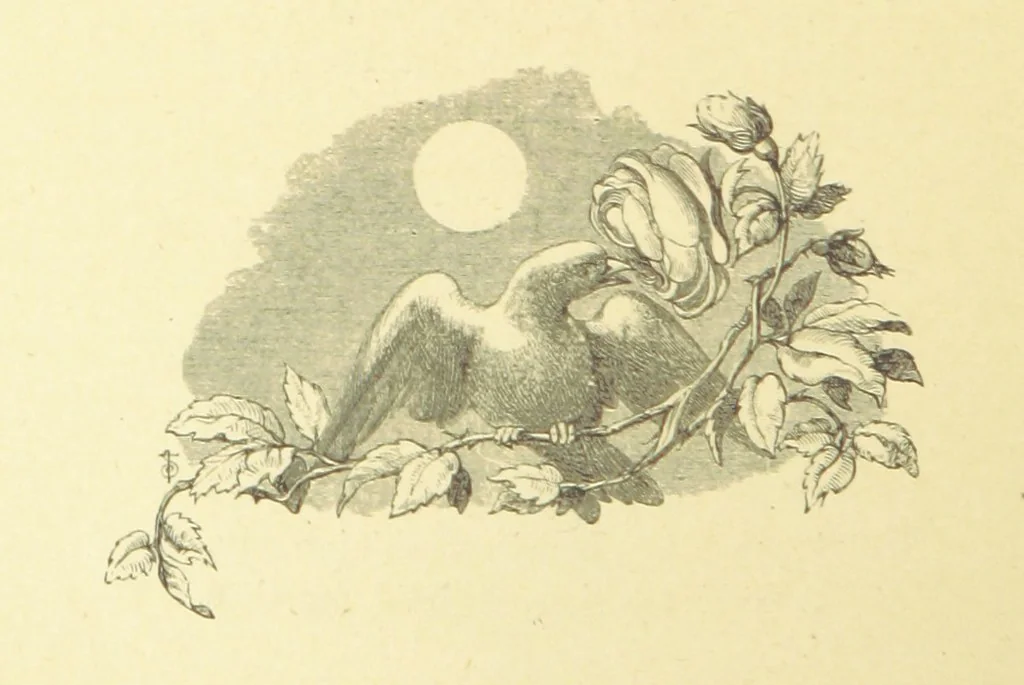 An illustration from Moore's Irish Melodies, Lalla Rookh, National Airs, Legendary Ballads, Songs, etc., with a memoir by J. F. Waller. Illustrations, etc, 1867, leaf 494