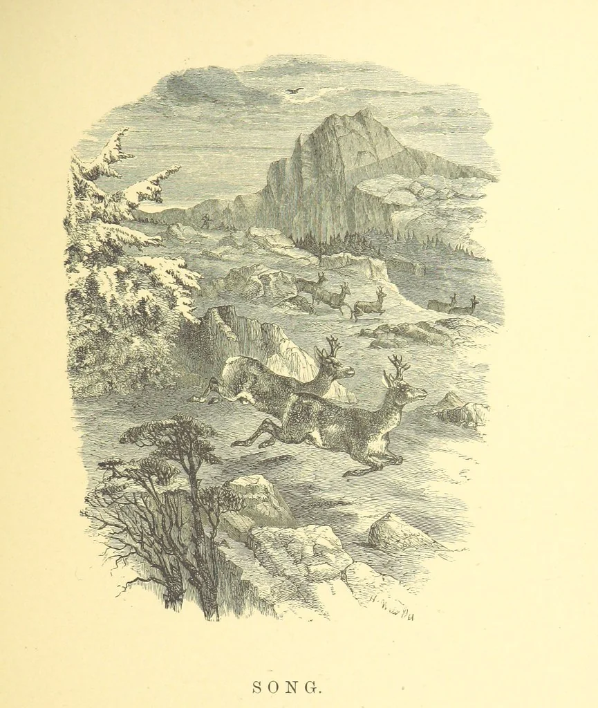An illustration from Moore's Irish Melodies, Lalla Rookh, National Airs, Legendary Ballads, Songs, etc., with a memoir by J. F. Waller. Illustrations, etc, 1867, leaf 587