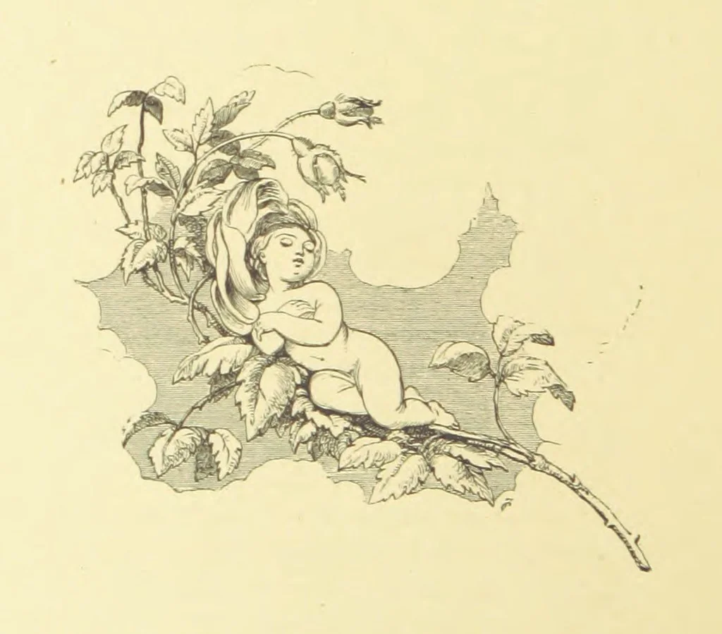 An illustration from Moore's Irish Melodies, Lalla Rookh, National Airs, Legendary Ballads, Songs, etc., with a memoir by J. F. Waller. Illustrations, etc, 1867, leaf 640