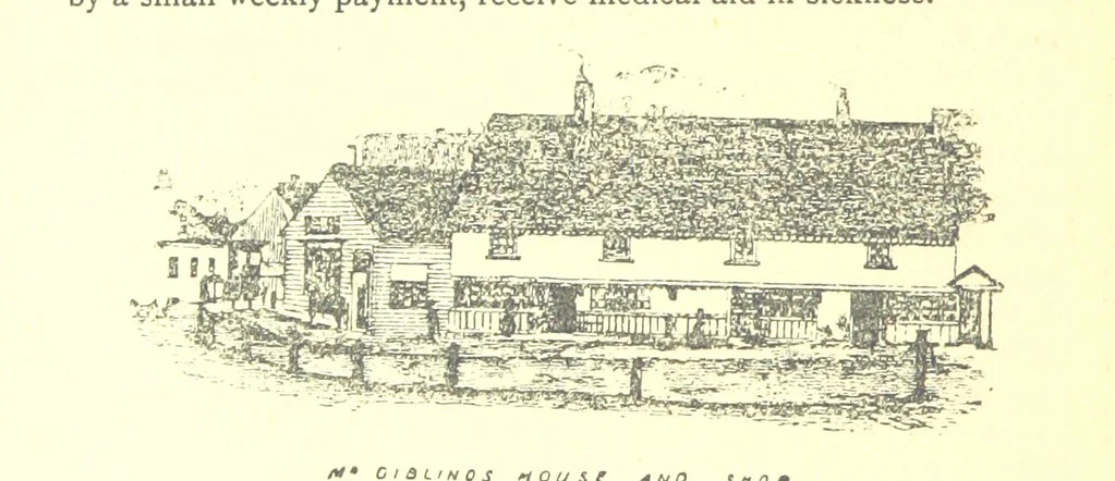 An illustration from The History of Tooting-Graveney, Surrey. Compiled from original documents, 1897, leaf 388