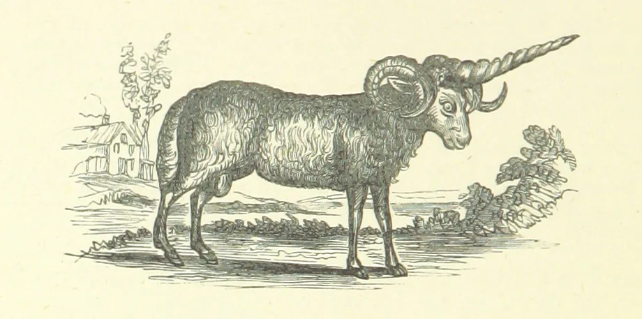 An illustration from Memoirs of Bartholomew Fair ... Fourth edition, 1892, leaf 394