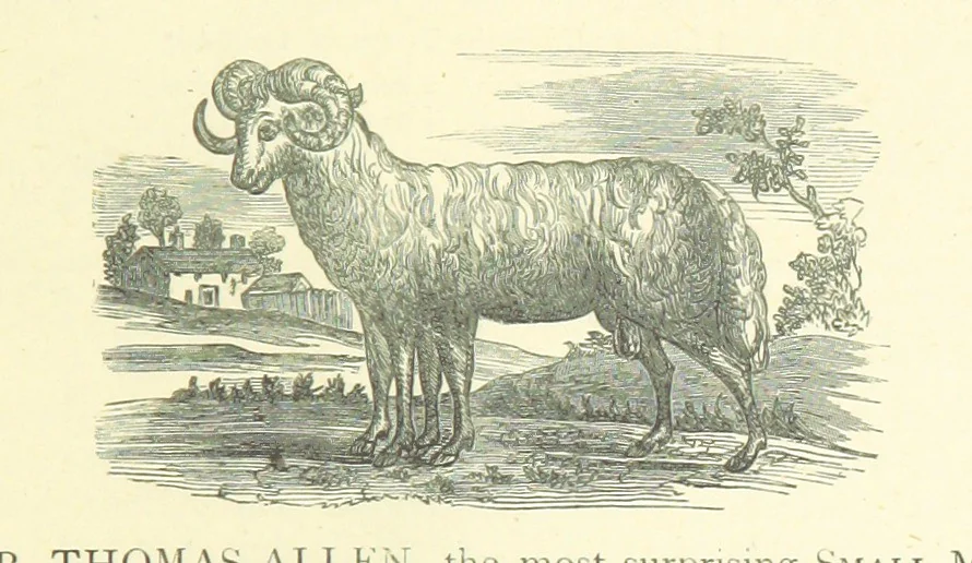 An illustration from Memoirs of Bartholomew Fair ... Fourth edition, 1892, leaf 395