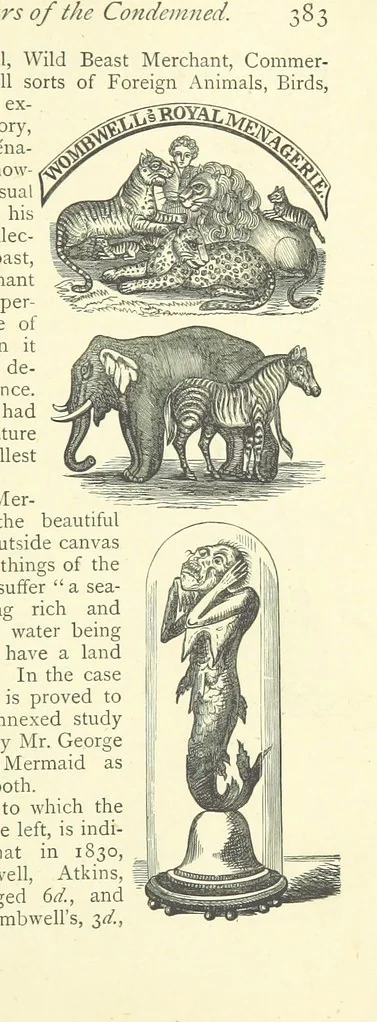 An illustration from Memoirs of Bartholomew Fair ... Fourth edition, 1892, leaf 429