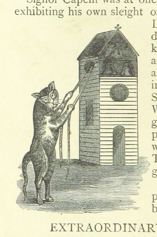 An illustration from Memoirs of Bartholomew Fair ... Fourth edition, 1892, leaf 430