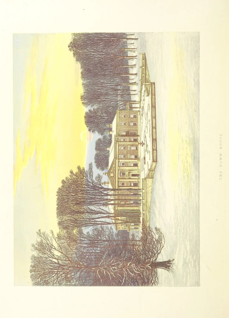 An illustration from The County Seats of the Noblemen and Gentlemen of Great Britain and Ireland. vol. 1, 2. (Vol. 3-5. A Series of Picturesque Views of Seats of the Noblemen ... of Great Britain and Ireland. With descriptive letterpress.), 1866, leaf 454