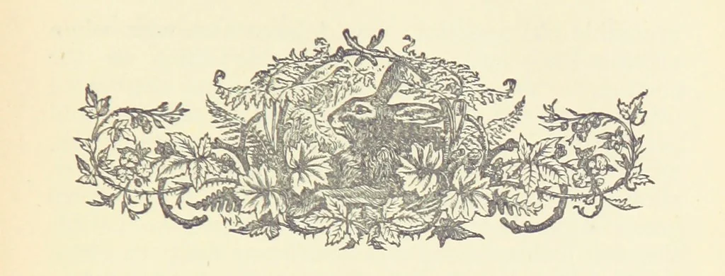 An illustration from Letters sent Home. Out and home again by way of Canada and the United States; or, what a summer's trip told me of the people and the country of the Great West, 1874, leaf 143