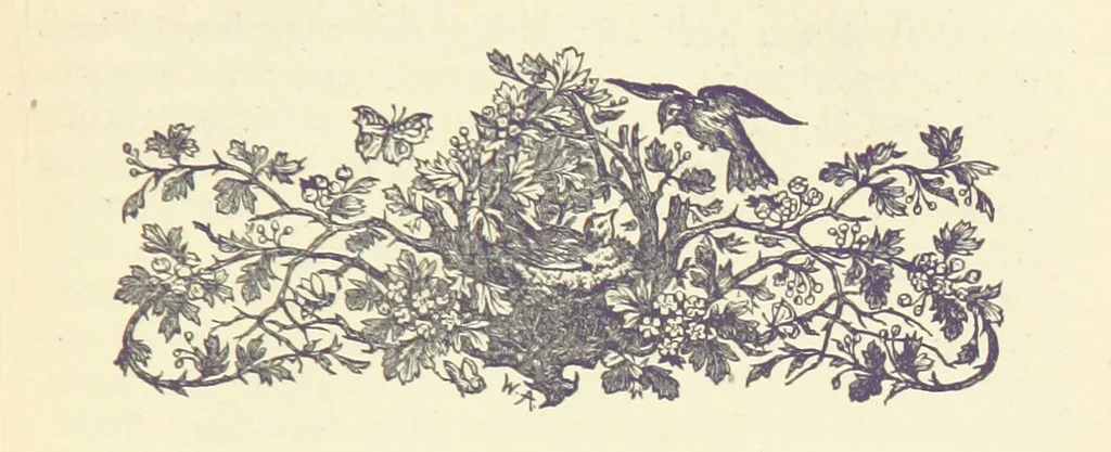 An illustration from Letters sent Home. Out and home again by way of Canada and the United States; or, what a summer's trip told me of the people and the country of the Great West, 1874, leaf 155