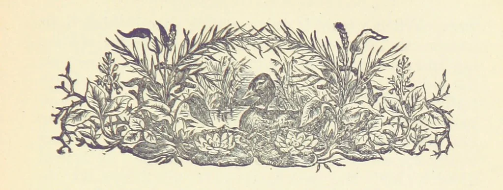 An illustration from Letters sent Home. Out and home again by way of Canada and the United States; or, what a summer's trip told me of the people and the country of the Great West, 1874, leaf 171