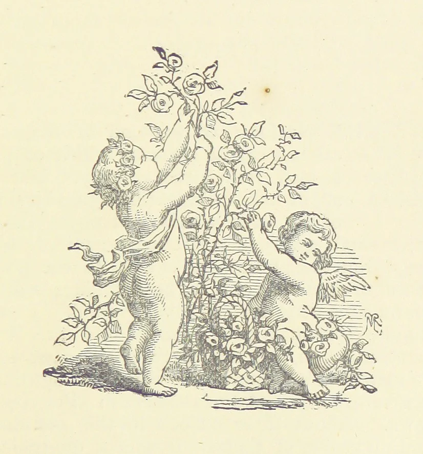 An illustration from Letters sent Home. Out and home again by way of Canada and the United States; or, what a summer's trip told me of the people and the country of the Great West, 1874, leaf 179