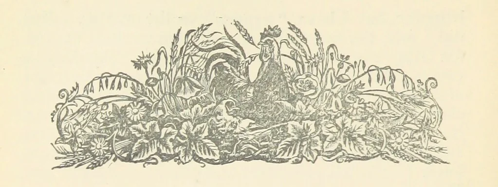 An illustration from Letters sent Home. Out and home again by way of Canada and the United States; or, what a summer's trip told me of the people and the country of the Great West, 1874, leaf 180