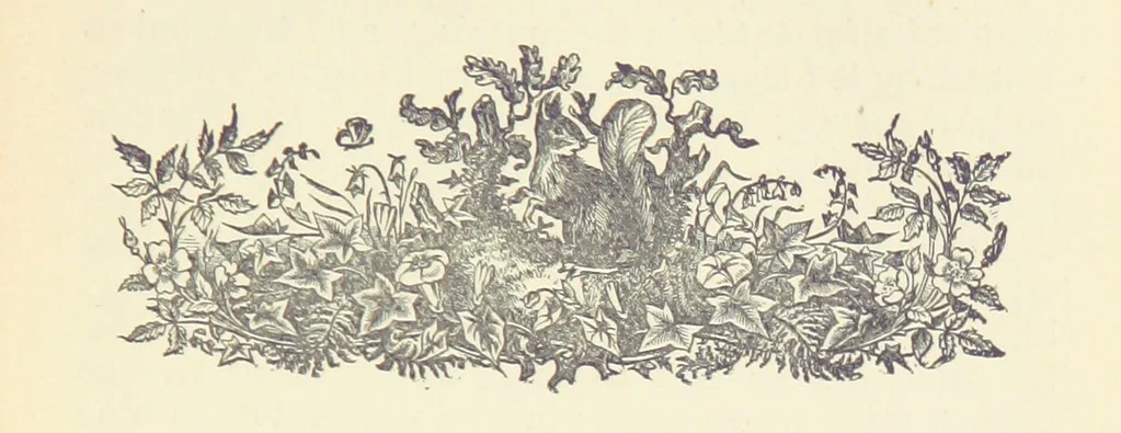 An illustration from Letters sent Home. Out and home again by way of Canada and the United States; or, what a summer's trip told me of the people and the country of the Great West, 1874, leaf 197