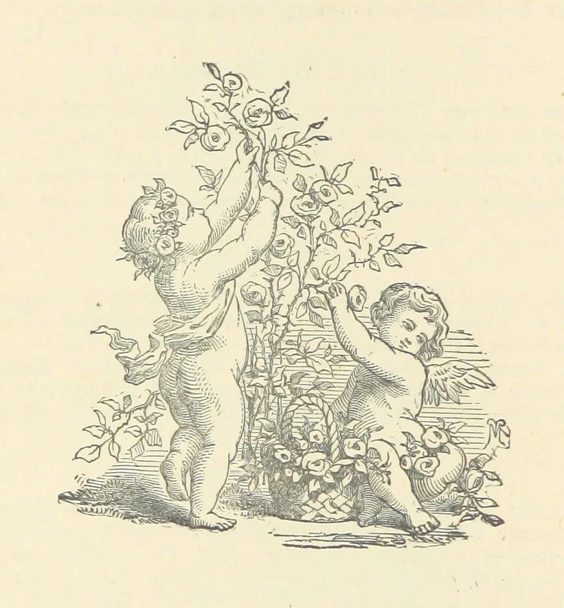 An illustration from Letters sent Home. Out and home again by way of Canada and the United States; or, what a summer's trip told me of the people and the country of the Great West, 1874, leaf 20