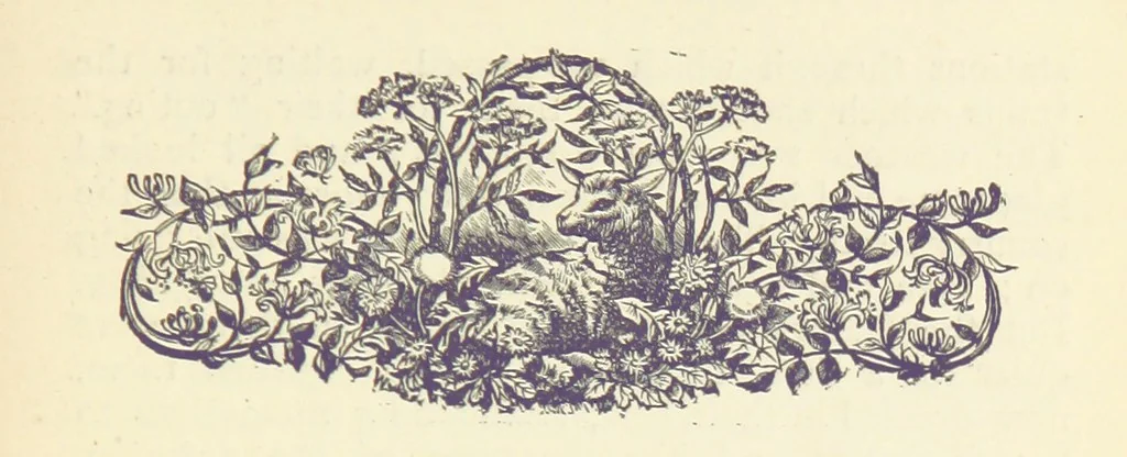 An illustration from Letters sent Home. Out and home again by way of Canada and the United States; or, what a summer's trip told me of the people and the country of the Great West, 1874, leaf 21