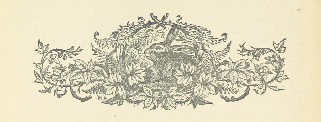 An illustration from Letters sent Home. Out and home again by way of Canada and the United States; or, what a summer's trip told me of the people and the country of the Great West, 1874, leaf 212