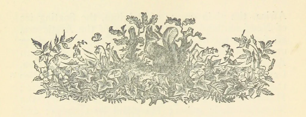An illustration from Letters sent Home. Out and home again by way of Canada and the United States; or, what a summer's trip told me of the people and the country of the Great West, 1874, leaf 30
