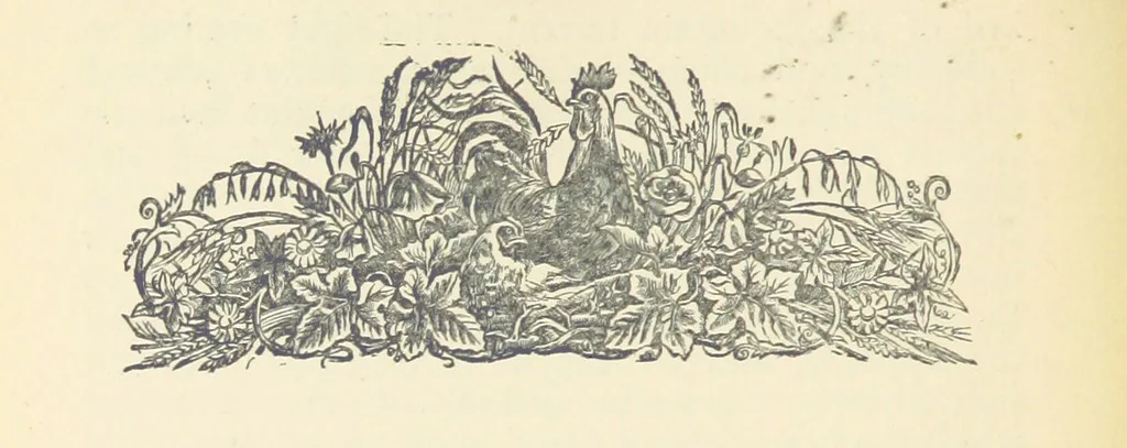 An illustration from Letters sent Home. Out and home again by way of Canada and the United States; or, what a summer's trip told me of the people and the country of the Great West, 1874, leaf 348