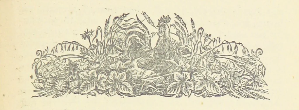 An illustration from Letters sent Home. Out and home again by way of Canada and the United States; or, what a summer's trip told me of the people and the country of the Great West, 1874, leaf 475