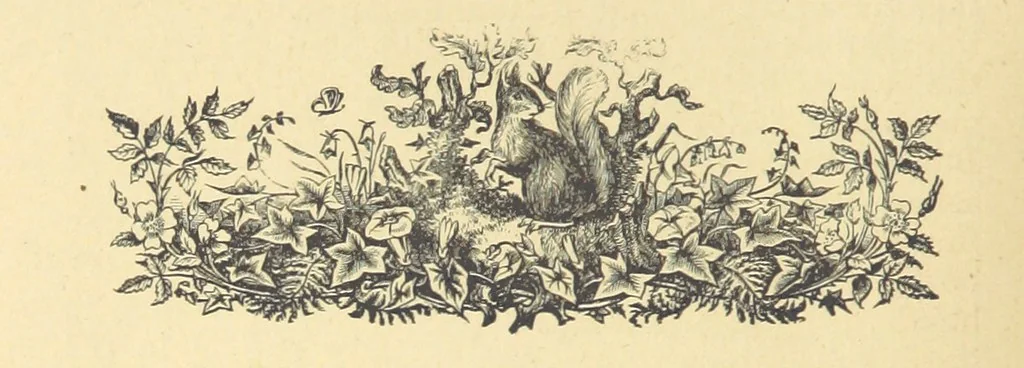 An illustration from Swindon fifty years ago,-more or less. Reminiscences ... of ye old Wiltshire towne ... reprinted from ye Swindon Advertiser, 1885, leaf 142