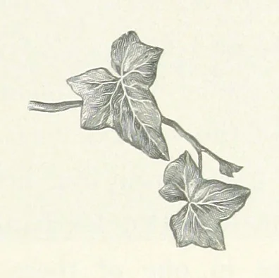 An illustration from Mercantile Manchester, past and present ... With ... illustrations, 1896, leaf 153