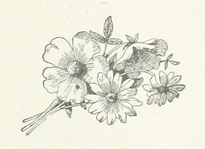 An illustration from Mercantile Manchester, past and present ... With ... illustrations, 1896, leaf 195