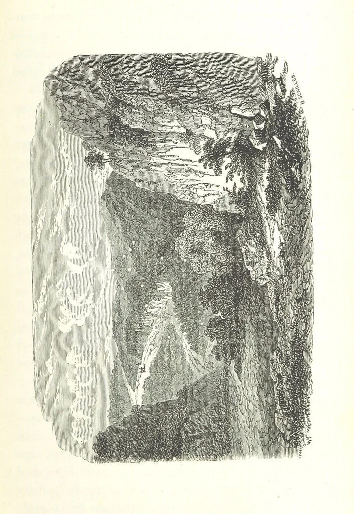 An illustration from The English in South America, 1878, leaf 165