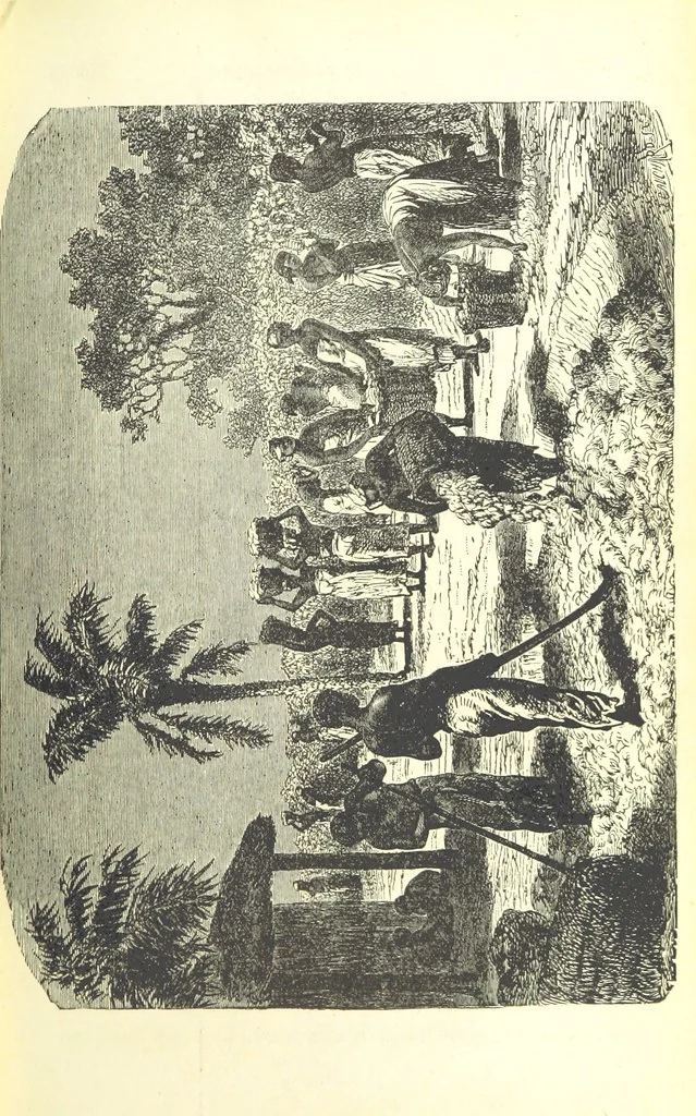 An illustration from The English in South America, 1878, leaf 505
