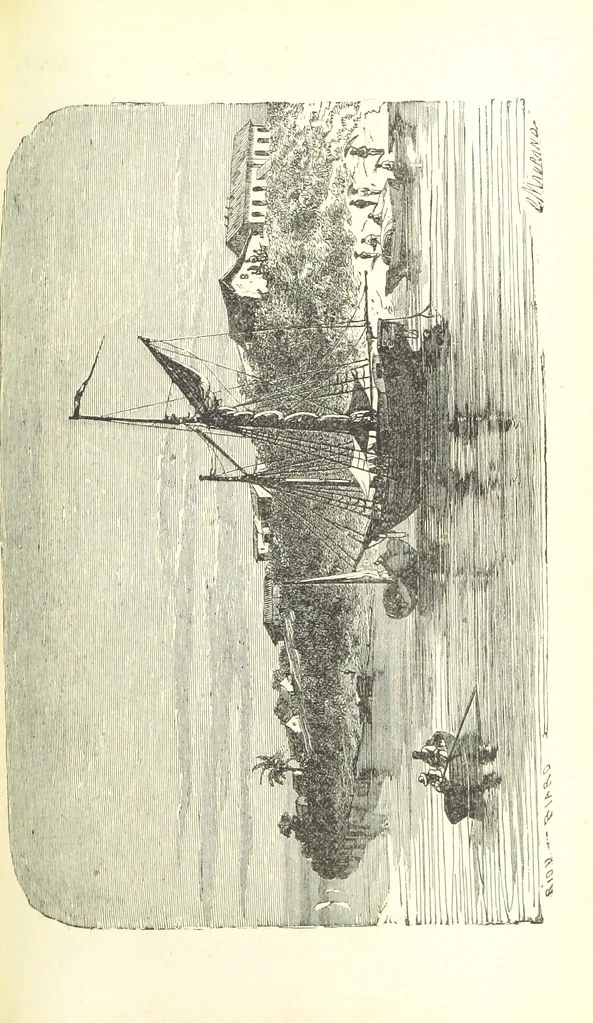 An illustration from The English in South America, 1878, leaf 521