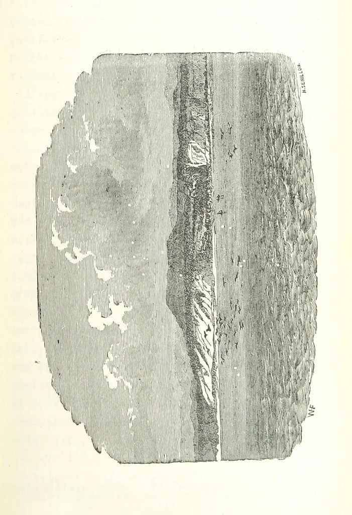 An illustration from The English in South America, 1878, leaf 67