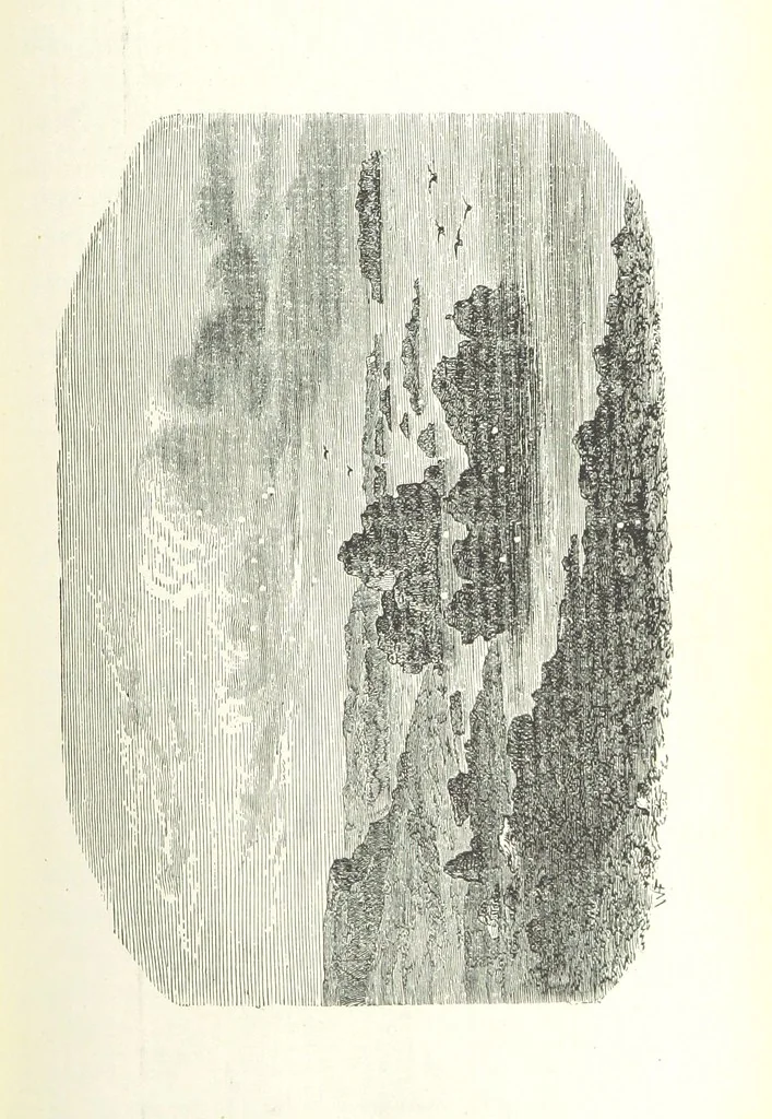 An illustration from The English in South America, 1878, leaf 81