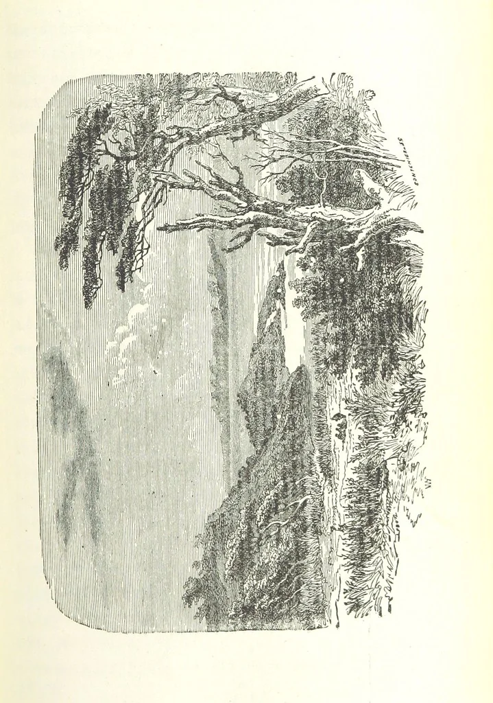 An illustration from The English in South America, 1878, leaf 93