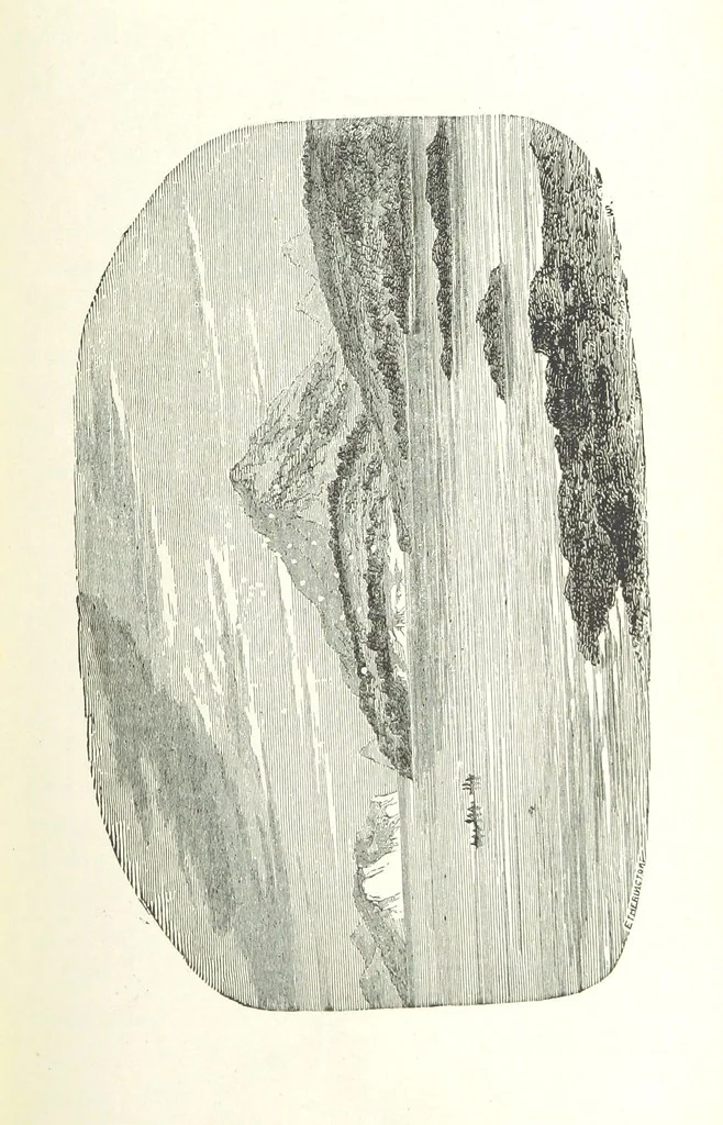 An illustration from The English in South America, 1878, leaf 99