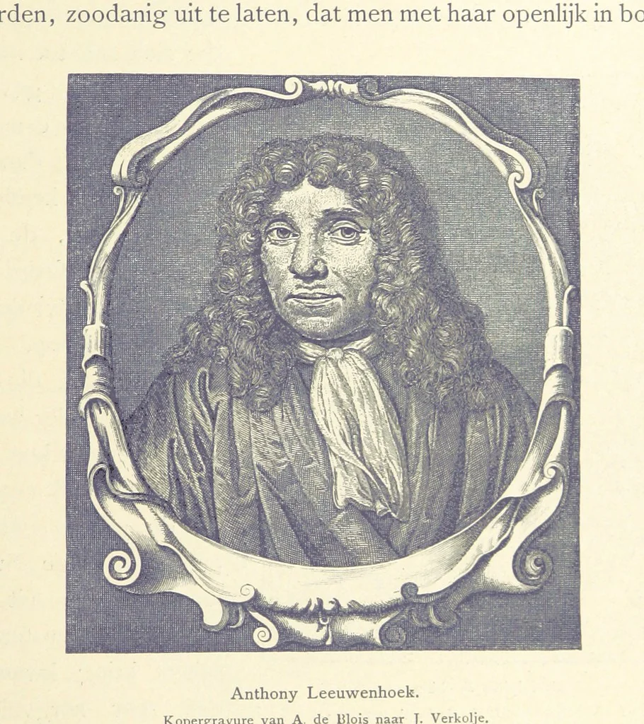 An illustration from Onze Gouden Eeuw. De Republiek der Vereenigde Nederlanden in haar bloeitijd ... Geïllustreerd onder toezicht van J. H. W. Unger, 1896, leaf 347