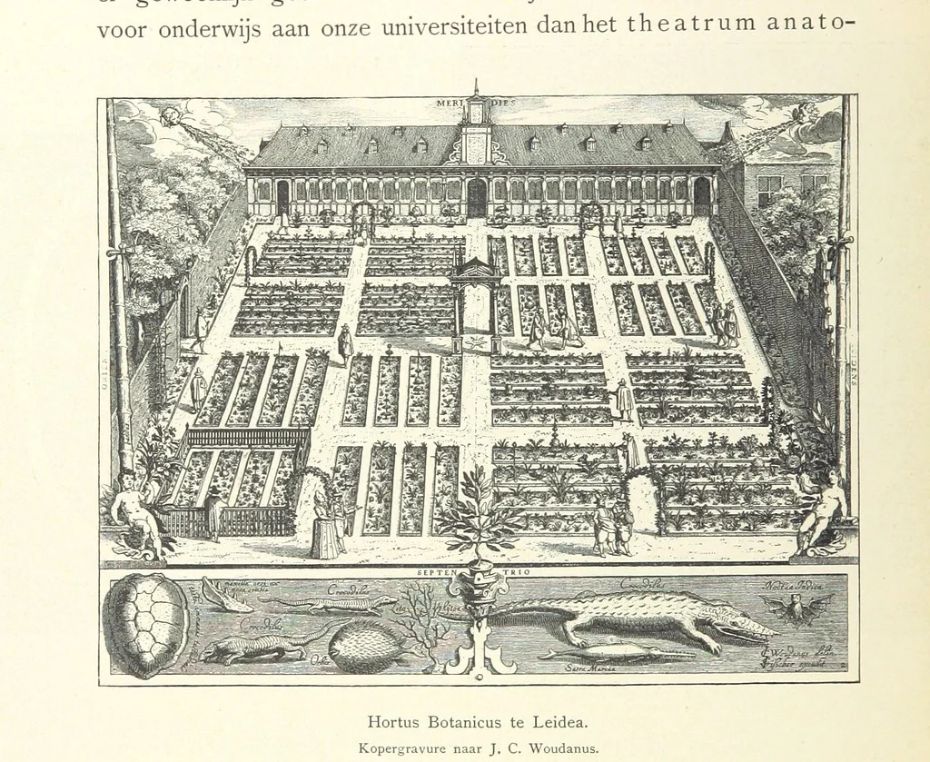 An illustration from Onze Gouden Eeuw. De Republiek der Vereenigde Nederlanden in haar bloeitijd ... Geïllustreerd onder toezicht van J. H. W. Unger, 1896, leaf 368