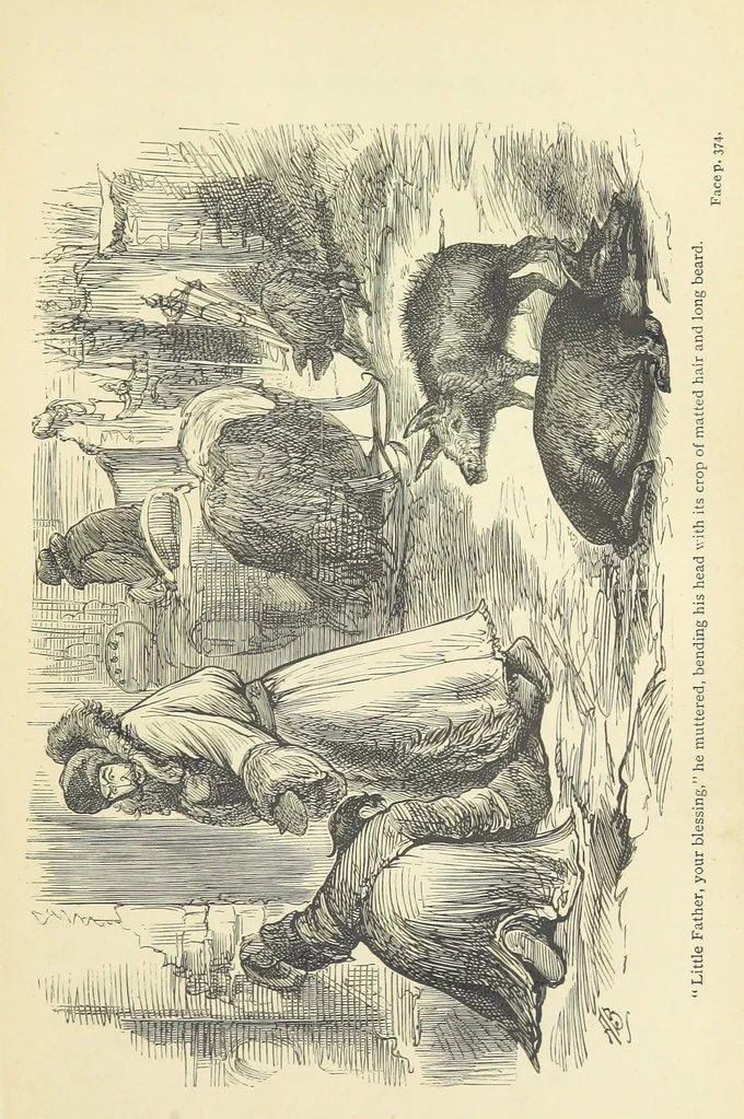 An illustration from Imprisoned in a Spanish Convent: an English girl's experiences, with other narratives and tales ... Second edition, 1886, leaf 281
