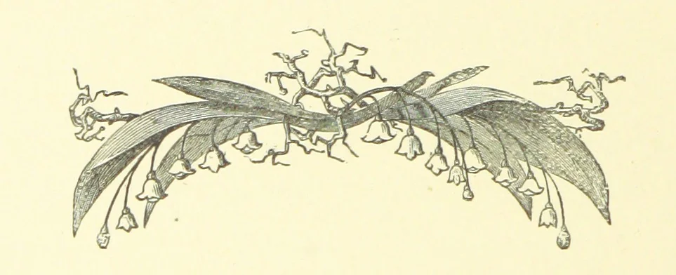 An illustration from Nugæ Canoræ. [Poems, 1888, leaf 134