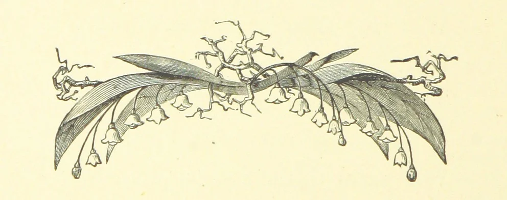 An illustration from Nugæ Canoræ. [Poems, 1888, leaf 170