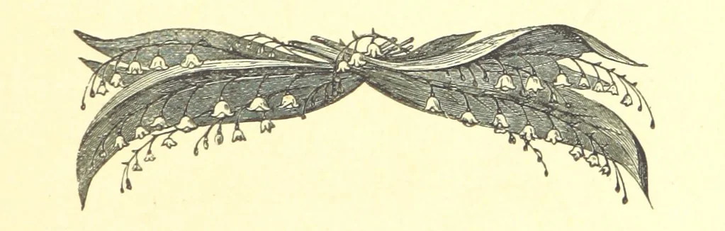 An illustration from Nugæ Canoræ. [Poems, 1888, leaf 177
