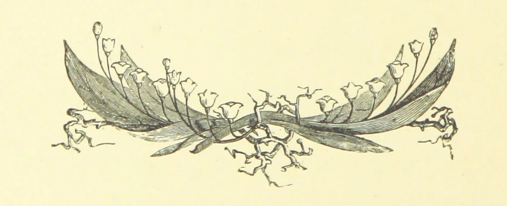 An illustration from Nugæ Canoræ. [Poems, 1888, leaf 268
