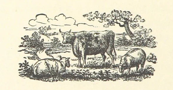 An illustration from My Brother Basil. [A novel.] ... With illustrations, etc, 1891, leaf 74