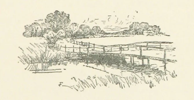 An illustration from My Brother Basil. [A novel.] ... With illustrations, etc, 1891, leaf 97