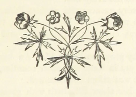 An illustration from England. [Historical tales, 1872, leaf 529