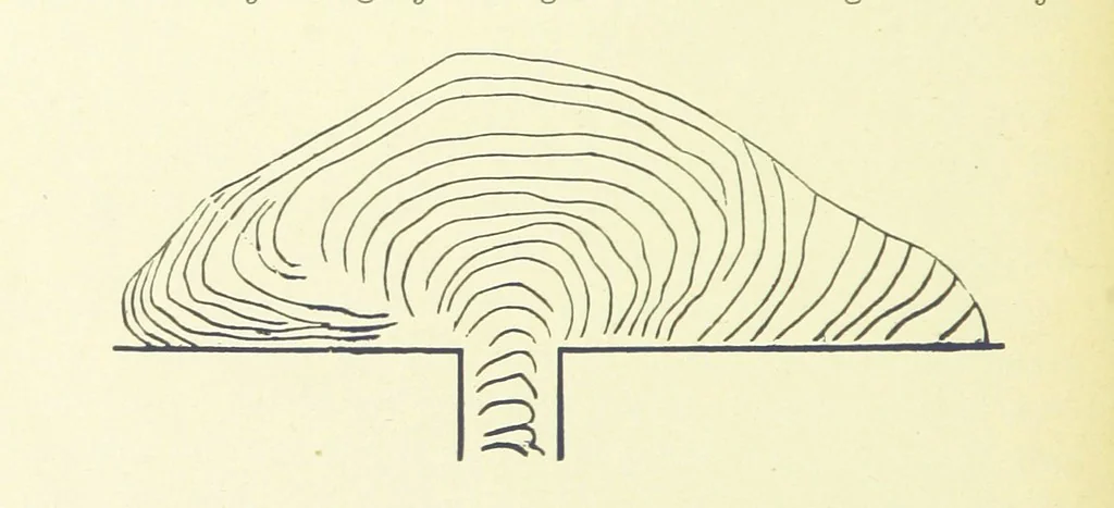 An illustration from Aardrijkskunde van Zuid-Afrika, door Dr. H. Blink ... Uitgegeven door de Nederlandsch Zuid-Afrikaansche Vereeniging, 1889, leaf 98