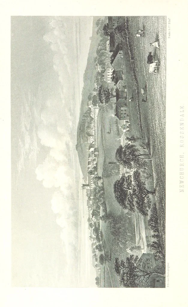 An illustration from History of the Forest of Rossendale ... With a chapter on the Geology of Rossendale. By Captain Aitken ... And observations on the botany of the district. By A. Stansfield, 1868, leaf 8